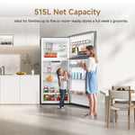 Load image into Gallery viewer, Dreame 670L Gross Capacity Double Door Top- Mount Refrigerator-Freezer, Silver
