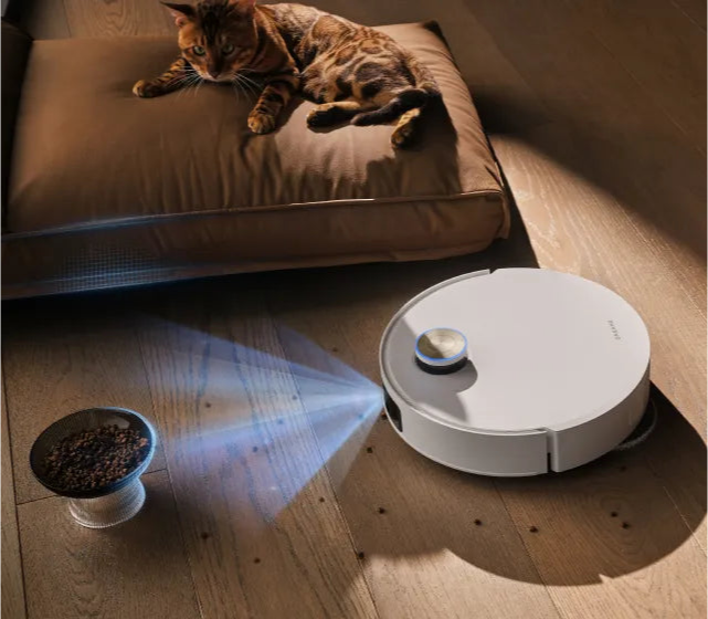 Select Pet-Friendly Cleaning Strategies