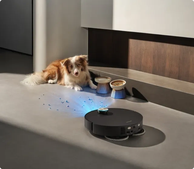 Smarter Around Pets