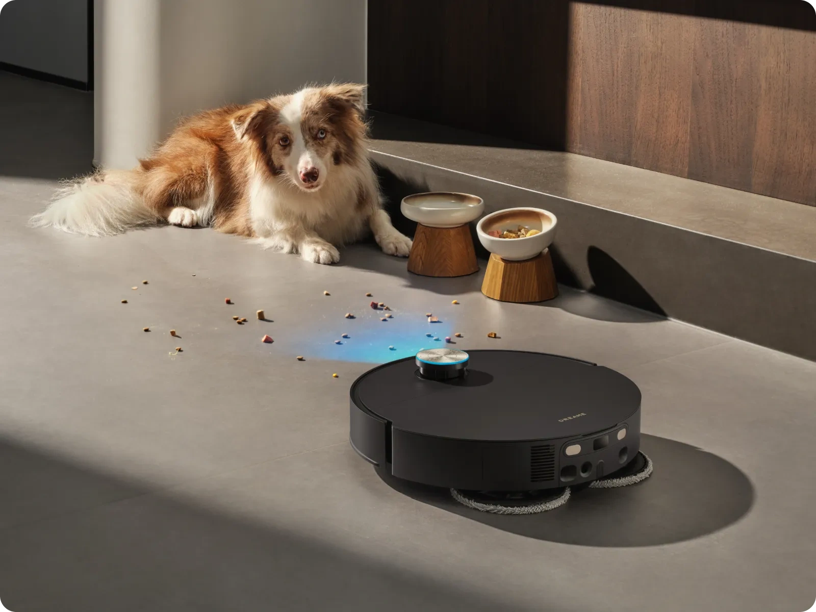 Smarter Around Pets